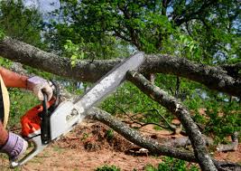 Lawn Irrigation Installation and Maintenance in Goshen, CA